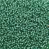 TOHO 11/0 Round Beads X-SEED-TR11-2119-2