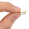 Ion Plating(IP) 304 Stainless Steel Pendants STAS-I311-32C-G-6