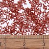 MIYUKI Delica Beads X-SEED-J020-DB2173-4