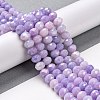 Faceted Electroplated Glass Beads Strands GLAA-C023-02-B07-3