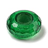 Glass European Beads GLAA-XCP0001-43E-1