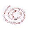 Natural Cherry Blossom Agate Beads Strands G-I249-B01-01-2