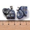 Natural Blue Spot Jasper Pendants G-B127-05P-11-4