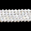 Opaque Solid Color Electroplate Glass Beads Strands LS-EGLA-A039-P4mm-B15-1
