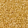 MIYUKI Delica Beads SEED-J020-DB1801-3