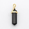 Natural Dyed & Heated Black Agate Bullet Double Terminated Pointed Pendants G-P053-G33O-1