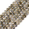 Natural Labradorite Beads Strands G-K389-B66-01-5