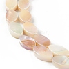 Natural Freshwater Shell Beads Strands X-SHEL-T009-22-2