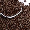 Baking Paint Glass Seed Beads SEED-K010-A24-1