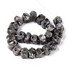 Natural Syenite Beads Strands G-N327-05-27-2