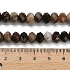 Natural Petrified Wood Beads Strands G-Z111-A50-6