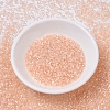 MIYUKI Delica Beads SEED-J020-DB0824-2