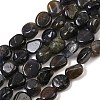 Natural Iolite/Cordierite/Dichroite Beads Strands G-A284-A02-03-2