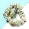 Raw Rough Natural Prehnite Beads Strands G-P528-A05-01-2