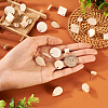  36Pcs 9 Style Ash Wood Stud Earring Findings EJEW-TA0001-23-6