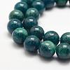 Natural Apatite Beads Strands G-F475-06-12mm-3