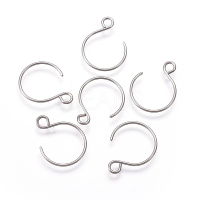 Tarnish Resistant 304 Stainless Steel Earring Hooks STAS-O119-10P-B-1