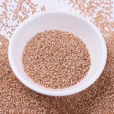 MIYUKI Delica Beads SEED-X0054-DB0622-1