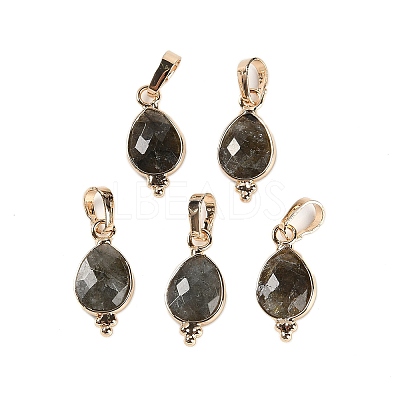 Natural Labradorite Faceted Pendans KK-L218-004G-02-1