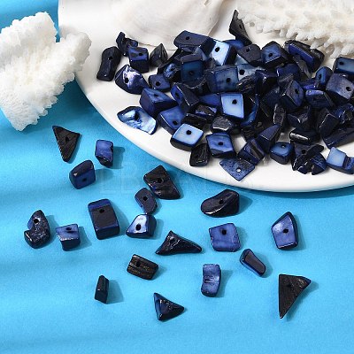 Dyed Natural Freshwater Shell Chips Beads X-SHEL-O001-12C-1