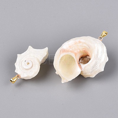 Iron & Natural Spiral Shell Pendants SHEL-Q029-15KCG-1