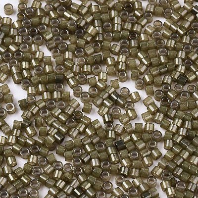 FGB 11/0 Grade A Glass Seed Beads SEED-S030-1148-1