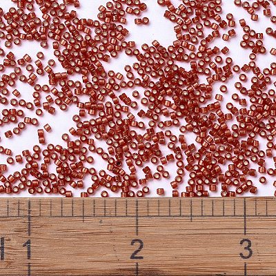 MIYUKI Delica Beads X-SEED-J020-DB2173-1