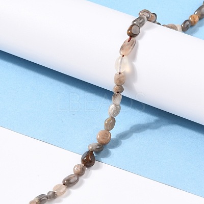 Natural Black Sunstone Beads Strands G-G018-03B-1