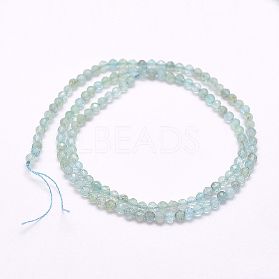 Natural Apatite Beads Strands LS-G-I156-05-A-1