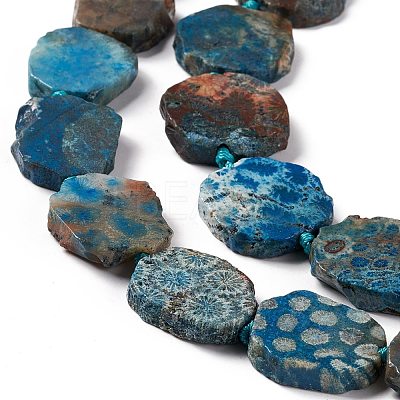 Natural Fossil Coral Beads Strands G-F719-25-1