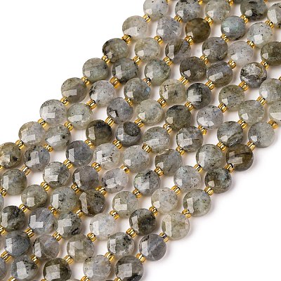 Natural Labradorite Beads Strands G-K389-B66-01-1