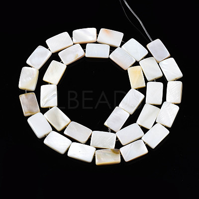 Natural Freshwater Shell Beads Strands X-SHEL-Q024-013-1