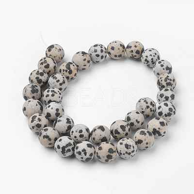 Natural Dalmatian Jasper Bead Strands G-G735-68F-12mm-1