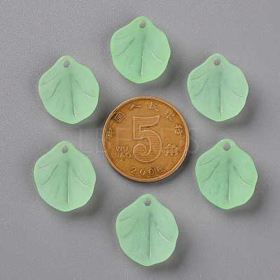 Transparent Frosted Acrylic Pendants MACR-S371-02A-733-1