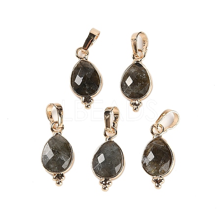 Natural Labradorite Faceted Pendans KK-L218-004G-02-1
