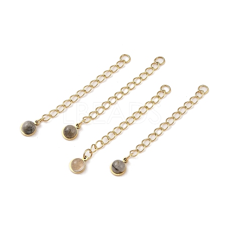 Ion Plating(IP) 316 Surgical Stainless Steel Curb Chain Extender with Natural Labradorite Round Charm STAS-A097-01G-11-1
