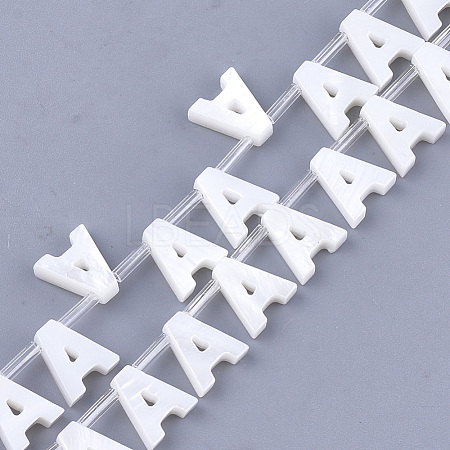 Natural Freshwater Shell Beads SHEL-T012-59A-1