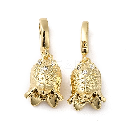 Brass with Cubic Zirconia Charms KK-Q793-04G-1