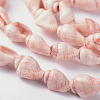 Natural Sea Shell Conch Bead Strands X-BSHE-O009-11-2