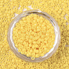 Baking Paint Glass Seed Beads SEED-S042-05A-06-2