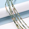 Natural Indian Agate Beads Strands G-G783-22-4