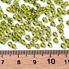 8/0 Glass Seed Beads X2-SEED-A005-3mm-24-3