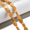 Natural Topaz Jade Beads Strands G-P559-B23-01-2