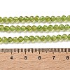 Natural Peridot Beads Strands G-Z150-A01-4mm-5