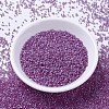 MIYUKI Delica Beads SEED-JP0008-DB2180-2