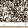 MIYUKI Round Rocailles Beads SEED-X0054-RR0457-4