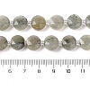 Natural Labradorite Bead Strands G-C116-A10-01-5