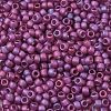 TOHO 6/0 Round Beads X-SEED-TR06-0625F-2