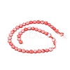 Natural Freshwater Shell Dyed Beads Strands SHEL-K001-001B-2