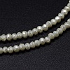 Faceted Rondelle Full Rainbow Plated Electroplate Glass Beads Strands X-EGLA-M004-2mm-A17-2
